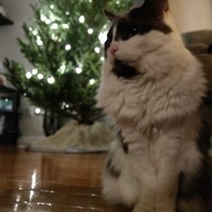 Meet your Posher, Jaclyn